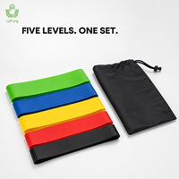 Juego de Mini Bandas de Resistencia TPE de Cinco Niveles OEM ODM con Bolsa de Transporte para Fitness en Casa y Programas de Marca Privada
