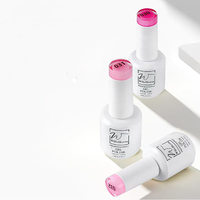 Nouveau Gel de Photothérapie 15ml Conforme aux Normes Européennes, Ensemble de Vernis à Ongles en Gel 48 Couleurs, Prise en Charge du Logo Personnalisé, Produits de Soin des Ongles