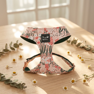 Stylish Comfortable Cotton Cat Harness Cotton <b>Dog</b> Harness Elegant Personalized Cute Style Buckle Closure for Large <b>Dogs</b> OEM OD - Product Image 1