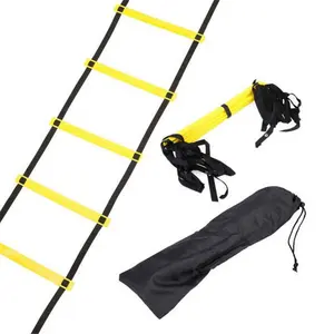 EB 6089D 6 M Manufacturer Supplier China Cheap Sports Agility Ladder Sports Training Ladder Agility Ladder Training Set