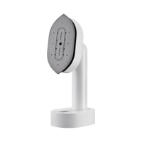 Portable 1200W pliable voyage vêtement vapeur fer électrique vêtements vapeur avec pompe pour une utilisation en extérieur