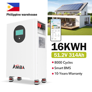 Batería de Litio de 16 kWh y 300 Ah, 51.2 V, Sistema de Almacenamiento de Energía Doméstico Montado en Pared para Suministro Solar - Product Image 5