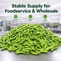 Fabrieksgroothandel IQF diepvries gezouten edamame in peulen, kwaliteit A, verse groene sojabonen voor groothandel en catering.