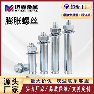 Boulons d'expansion Mai Lin M8 M10 M12 M18 en acier au carbone plaqué de qualité A pour usage fixe en construction - Product Image 5