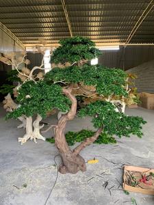 Fábrica personalizar alto verde ciprés artificial bonsái interior exterior grande falso pino <span class=keywords><strong>para</strong></span> decoración de paisajismo de Hotel - Product Image 5