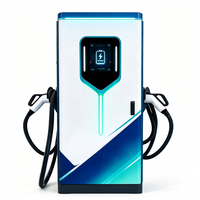 Borne de recharge rapide DC double pistolet 120kW 240kW personnalisée pour véhicules électriques, sur pied, pour centres commerciaux