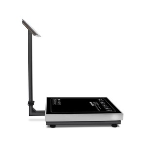 Digitale 100kg 150kg 300kg <span class=keywords><strong>600kg</strong></span> Waage aus Edelstahl - Product Image 2