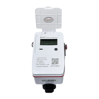 Compteur d'eau à ultrasons LoRaWAN DN15 IP68 4G/NB-IoT/RS485/Modbus avec sortie impulsionnelle, numérique sans fil, boîtier plastique, OEM