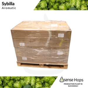 Số lượng lớn gói sybilla hop viên thực phẩm cấp 6.5%-8% Alpha axit cho nhà máy bia nước giải khát các nhà sản xuất chất lượng thử nghiệm xuất khẩu Nhà máy bia toàn cầu - Product Image 5