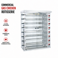 Rôtissoire Commerciale Double Alimentation Gaz-Électrique, Capacité 48 Poulets, 8 Brochettes, Acier Inoxydable 304