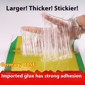 Wholesale Indoor/<strong>Outdoor</strong> Easy Strong Stickiness Adhesive Mouse Rat Glue Trap Board High Cost Solid Paperboard Pest Mice Control - Product Image 6
