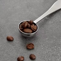 Lot de cuillères doseuses personnalisées en acier inoxydable 304 pour thé, café, matcha, pâtisserie, lait et poudre de fruits