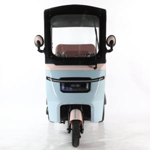 Bicicletta Elettrica <span class=keywords><strong>a</strong></span> <span class=keywords><strong>Tre</strong></span> <span class=keywords><strong>Ruote</strong></span>, Moto, Scooter Mobile, E-bike 3, Bicicletta Elettrica 60V <span class=keywords><strong>a</strong></span> 3 <span class=keywords><strong>Ruote</strong></span> per 3 Persone, Modello Aperto - Product Image 2