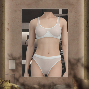 Conjunto de Lencería Romántica sin Costuras con Diseño de Encaje, Transpirable, con Aros, Sujetador Push-Up, Braguitas de Bikini, Tirantes Ajustables, Logotipo Bordado Sólido - Product Image 3