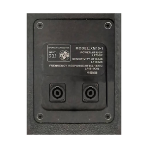 Haut-parleur à source sonore ponctuelle multi-mode bi-fréquence haute puissance LS3 XM Series 120W/700W avec boîtier en bois XM15-1 - Product Image 6