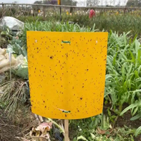 Piège à insectes double face en plastique jaune personnalisé, forte adhérence, écologique, portable, pour la capture des ravageurs en extérieur