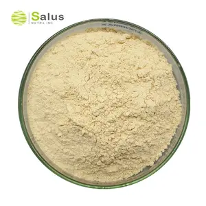 Nhà máy nóng Bán đậu nành Isoflavones 80% đậu nành chiết xuất bột