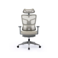 Support lombaire réglable, pivotant à 360 °, chaise de bureau haut de gamme en maille pour les bureaux exécutifs