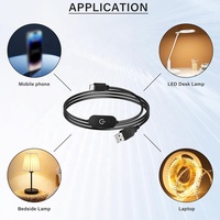 Câble de commutateur d'alimentation USB DC 5V USB 2.0 A vers Type C mâle LED cordon de gradateur tactile couleur unique gradation sur interrupteur câble de contrôleur