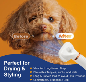 Nouveau produit tendance 2026 : Brosse sécheuse 2-en-1 de luxe pour animaux de compagnie avec ABS et acier inoxydable, alimentée par batterie, pour chats et chiens - Product Image 4