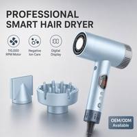 Sèche-cheveux ionique haute vitesse 110000 tr/min avec moteur AC, professionnel pour salon et hôtel, séchoir à cheveux puissant pour voyage en extérieur, séchage rapide