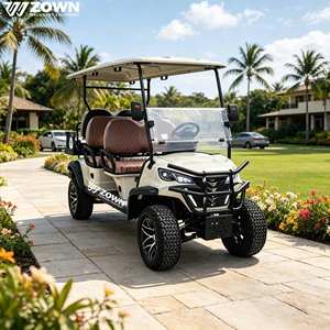 Carrito de Golf Eléctrico de Lujo Equipado para 4 Personas, Homologado para Circular por la Calle, con Sistema Multimedia, Batería de Litio, para Clubes de Golf y Viajes Diarios - Product Image 1