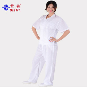 Zixi ZX1245 Factory Stock Dust-Free Breathable <b>Short</b>-Sleeve Workwear for Spring and Autumn, Wear-Resistant and Protective - Product Image 2
