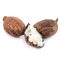 Beurre de Karité Pur Biologique en Gros, Huile Végétale Raffinée et Non Raffinée pour Soins de la Peau, Soins Capillaires et Massage