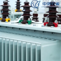 Transformateur industriel immergé dans l'huile série S 100 kVA 35/38,5 kV vers 0,4 kV, robuste, conforme RoHS, pour la distribution d'énergie solaire et renouvelable
