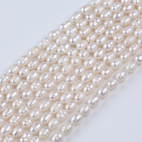 Perles de riz d'eau douce de culture naturelle Perles en vrac pour la fabrication de bijoux à bricoler soi-même 3 ~ 12mm, longueur 13 pouces