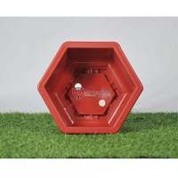 Ventes en gros de petits pots à bonsaï carrés légers de couleur rouge brique - Jardinières en plastique pour la décoration intérieure et extérieure