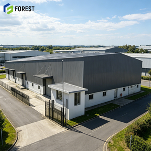 Entrepôt préfabriqué en structure métallique en gros, bâtiment prêt à l'emploi, atelier de construction solaire, distribution - Product Image 1