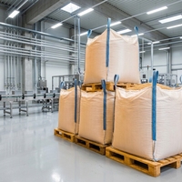Sac de collecte Bagster pour déchets résidentiels et commerciaux, fabricant de sacs industriels, sacs robustes, sac de 1 tonne