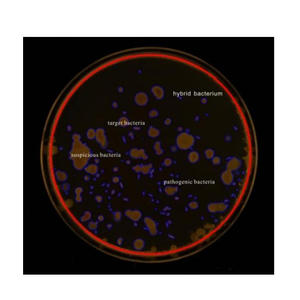 Bestselling High Definition True Color Bacterial Automated <strong>Colony</strong> <strong>Counters</strong> for Laboratory,bacterial <strong>Colony</strong> <strong>Counter</strong> LK-BCA-03+ - Product Image 3