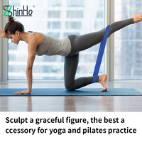 Bande de Résistance en TPE Écologique Personnalisée Shinho Manufacturer EU PPWR REACH pour Entraînement de Force, Fessiers et Pilates