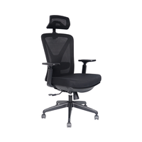 Chaise de bureau Kabel minimaliste contemporaine Ascenseur en tissu Hauteur réglable avec roues Accoudoirs rétractables en maille