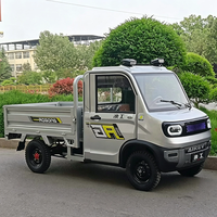 Mini camion électrique 4 roues 2 places, petit véhicule utilitaire, véhicule multi-usage