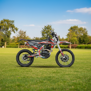Moto de cross pour adultes de qualité supérieure <span class=keywords><strong>NICOT</strong></span> KR3 300PR - Product Image 1