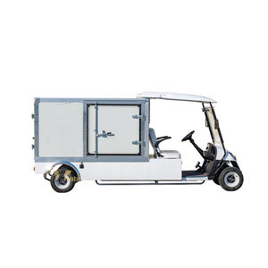 Voiture de loisirs personnalisée à énergie solaire, voiturette de golf électrique 2 places avec boîtes de rangement, type fourgonnette légère - Product Image 5