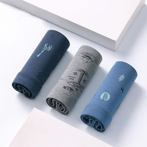 Vente en gros de sous-vêtements pour hommes à bande couverte de microfibre modale respirante à quantité minimale de commande bas avec logo personnalisé - Product Image 2