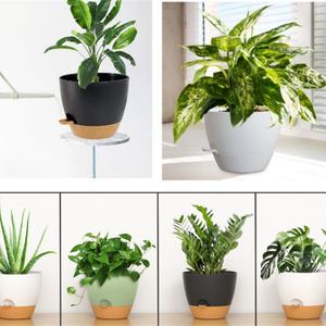 Maceta de plástico autoabsorbente para jardín, con sistema de riego lateral, para personas con poco tiempo, para plantas como Manzanilla de Jardín (Chlorophytum Comosum) - Product Image 1