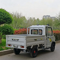 Mini camion électrique 4 roues 2 places, petit véhicule utilitaire, véhicule multi-usage