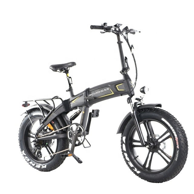 Roadsan R5 PRO 20 Inch Aluminum Folding Electric Bike with Rear Hub Motor Lithium Battery 36V 10.4Ah Fat Tyre