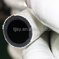 Manguera Industrial de Fibra de Vidrio con 30 mm de Diámetro Interior y 300 ℃   Resistencia al Calor