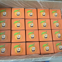 Tersedia 100ml Soda tahan lama dapat dimakan bunga permen karet kemasan permen plastik 3.5g dengan kotak