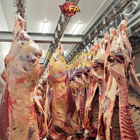 Système de machines de traitement des carcasses et d'abattage du bétail en acier inoxydable, conforme aux normes européennes, pour l'éviscération et le traitement des carcasses