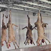Ligne d'abattage automatique personnalisée pour moutons et chèvres, en acier inoxydable 304, équipement d'abattoir halal PLC pour la transformation du mouton
