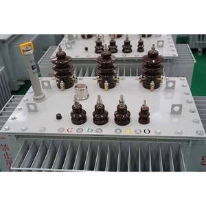 Transformador de Potencia Eléctrico Sumergido en Aceite de 300 kVA de Alta Calidad para Exteriores, Regulador de 125 kVA, Precio de Transformador de 400 kVA, el Más Vendido - Product Image 3