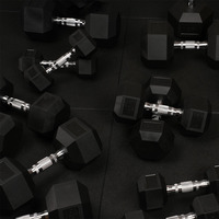Haltère hexagonal noir de 10 kg en PVC TPE pour équipement de fitness à domicile, durable et antidérapant