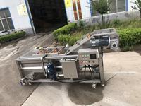 Automatische luchtbellen groentewasmachine Luchtbellenwasmachine voor fruit en groenten
